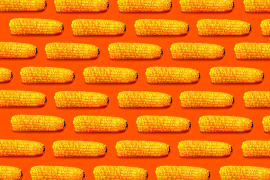 Corn or Maize Pattern. Bio-based material, biotic material, decarbonizing, carbon capture concept, wallpaper, and banner.