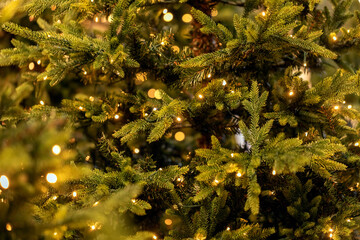 Christmas tree with lights