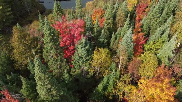 Incredible colors of Dundas peak Hamilton Ontario aerial 