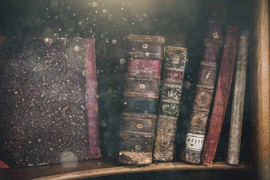 Library shelf with set of reading books