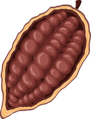 chocolate cocoa cartoon vector. cacao chocolate, plant tree, fruit pod, seed leaf chocolate cocoa. isolated color illustration