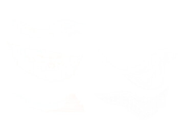 Easy to use veil, bridal wedding veil.