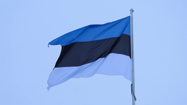 Estonian Flag Close-Up View