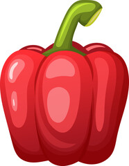 bulgarian pepper cartoon vector red yellow paprica, sweet capsicum, hot vegetable food color illustration