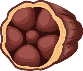 cocoa bean cartoon vector. plant tree, sweet dessert, organic dark candy, seed cocoa bean. isolated color illustration