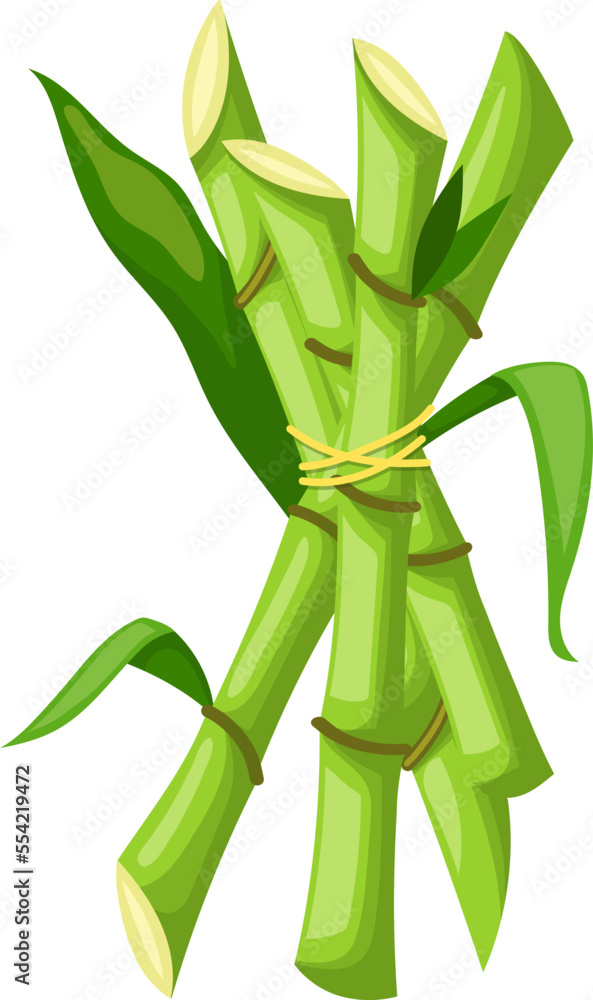 Poster sugar cane cartoon. plant sugarcane, leaf plantation, green raw, organic sugar cane vector illustration