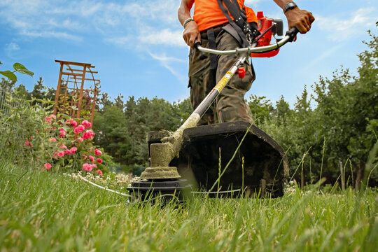 he gardener mows the grass in the garden with a brushcutter
ogrodnik kosi trawę w ogrodzie wykaszarką