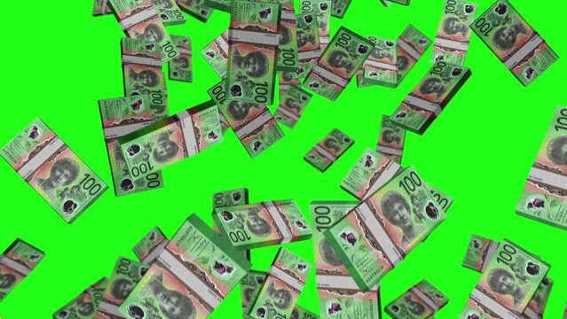 Australian Dollar 100 AUD banknote packs falling loop. Australia money note fall. 3D seamless looped isolated abstract concept of economy, finance, crisis, success and banking. Green screen.