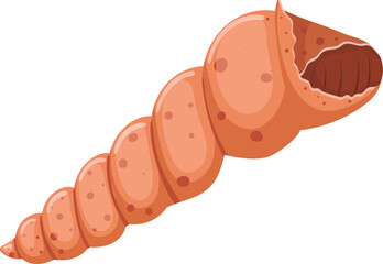 shell sea cartoon vector. marine seashell, beach snail, ocean conch, clam animal, water scalop sea. isolated color illustration