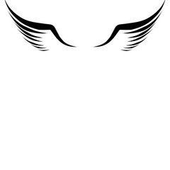 Wings vector