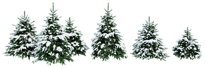 Collection of Christmas trees in the snow isolated on transparent background. Realistic 3D render. 3D illustration. - Powered by Adobe