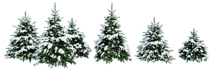 Collection of Christmas trees in the snow isolated on transparent background. Realistic 3D render. 3D illustration.