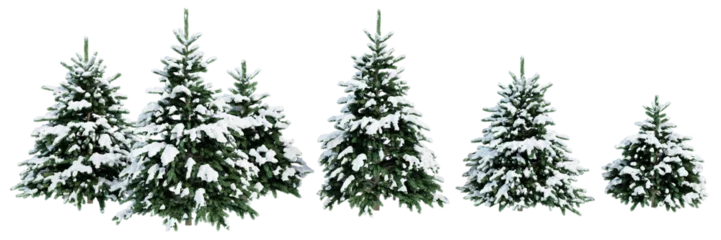 Gardinen Collection of Christmas trees in the snow isolated on transparent background. Realistic 3D render. 3D illustration. © schab