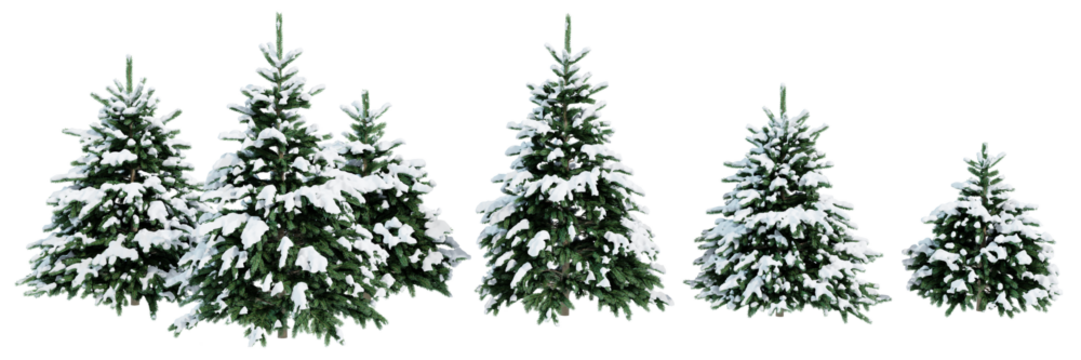 Collection of Christmas trees in the snow isolated on transparent background. Realistic 3D render. 3D illustration. - Powered by Adobe