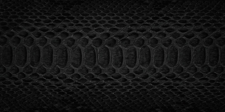 black snake skin background, natural reptile leather texture.