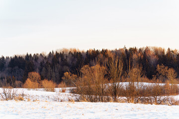 Landscape of a winter forest at sunset in Kernave, Lithuania