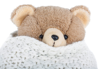 Teddy Bear with winter scarf  isolated on white background