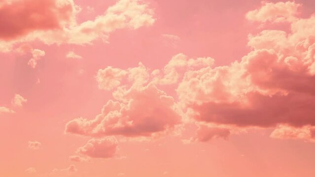 Amazing Soaring Pink Coral Puffy Cumulus Clouds in Pink Coral Sky in Sunlight at Sunset Time Lapse. Colorful Soft Sunset Sky and Floating Fluffy Clouds in the Rays of the Sun Beauty Relax.