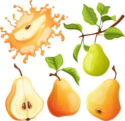 fruit pear set cartoon. leaf food, green ripe, organic tree, fresh agriculture, healthy summer half fruit pear vector illustration