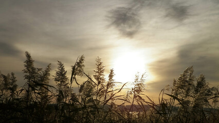Beautiful view of sunrise over Vistula Lagoon.