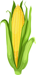 corn maize cartoon. grain,agriculture, food vegetable, harvest organic, sweet green, plant farm, leaf healthy, nutrition corn maize vector illustration
