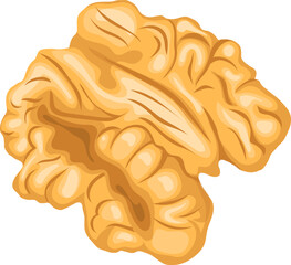 walnut kernel cartoon. fruit closeup, nut ingredient, seed food, snack half brown, raw natural organic walnut kernel vector illustration