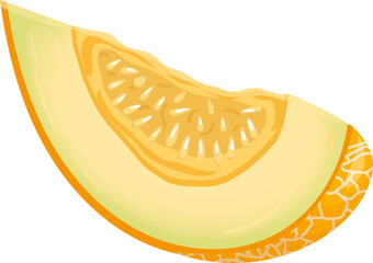 melon yellow slice cartoon. fruit honey food, summer orange, healthy organic, diet half, sweet cut, fresh green melon yellow slice vector illustration