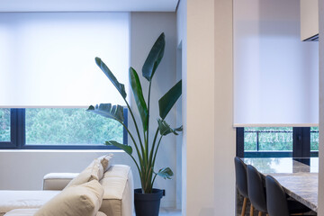 Roller blinds in the interior. Roller shades white color on the windows in the living room. A...