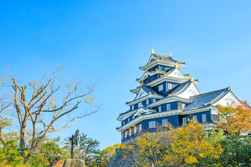 Naklejka premium 秋の岡山城 岡山県岡山市 Okayama Castle in autumn. Okayama prefecture, Okayama City.