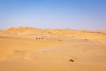 Fototapeta na wymiar Namibia Desert. Sand Dunes near Swakopmund. Skeleton Coast. Namibia. Africa.