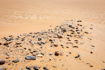 Namibia Desert. Sand Dunes near  Swakopmund. Skeleton Coast. Namibia. Africa.