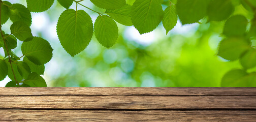 wooden table with forest bokeh banner	