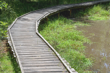 old wooden bridge over park lake outdoor perspective surrounded by trees sunny day