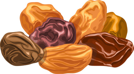 raisins dried fruit cartoon. dry fruit, food healthy, snack white, organic natural, sweet mix raisins dried fruit vector illustration