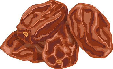 dates dried fruit cartoon. palm food, organic sweet, natural brown, healthy diet, snack dessert dates dried fruit vector illustration