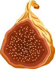 fig fruit dry cartoon. food tropical, healthy diet, nutrition dessert, snack vitamin, sweet exotic fig fruit dry vector illustration