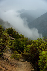 Fog Hangs Over The Manzanita Lined Hotel Creek Trail