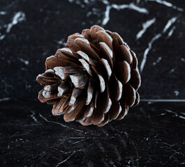 a beautiful fir cone on a background of black marble
