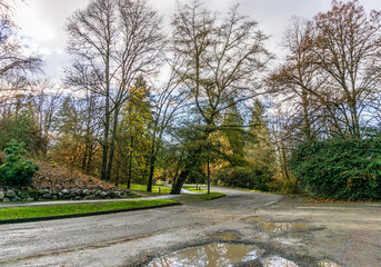 Autumn Arboretum Road