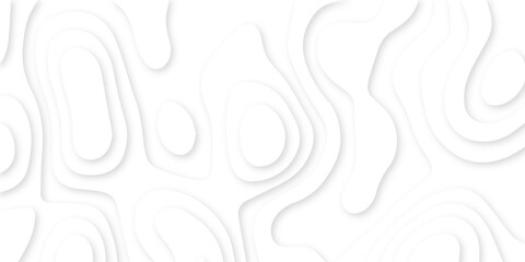 Abstract 3d wavy line paper cut white background.realistic papercut decoration textured with wavy layers.3d Topographic canyon geometric map relief texture with curved layers and shadow.
