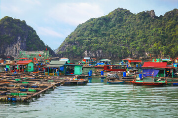 Fototapeta na wymiar floating fishing village between the rocky islands of halong bay