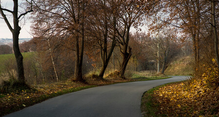 Kręta , asfaltowa droga biegnąca w dół wzgórza . Po bokach rosną drzewa a na horyzoncie widoczne miasto ( Ostrowiec Świętokrzyski ) . Droga wśród jesiennych wzgórz .