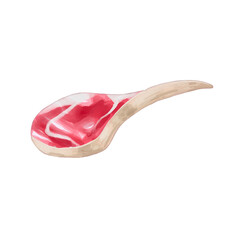 watercolor meat