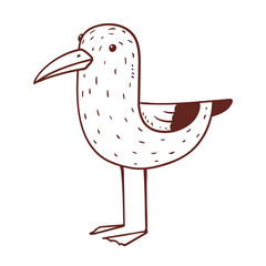 A Seagull, vector logo design elements. Animal monochrome sketch. A logotype. A bird outline illustration. A brand sign. A coloring book. Contour illustration for children's drawing activity.