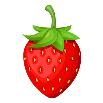 Vector image of strawberries. The concept of healthy food and fresh fruit. Juicy fruits, strawberry snacks, vegetarian dishes.