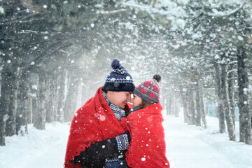 Loving couple hugging covered with a red blanket in the forest during a snowfall	