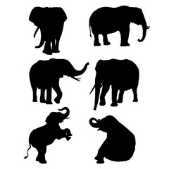 Set of silhouettes of elephants vector design