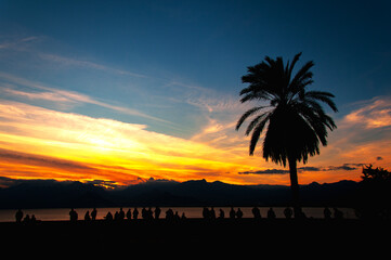 Silhouettes of people watching the sunset and palm tree.