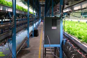 technology Smart farm IoT, Internet of things smart farm factory indoor. Researchers develop...