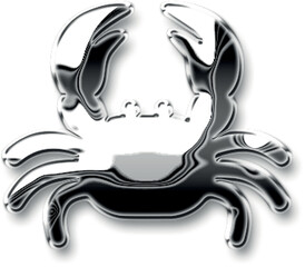 chrome silver metallic effect on crab